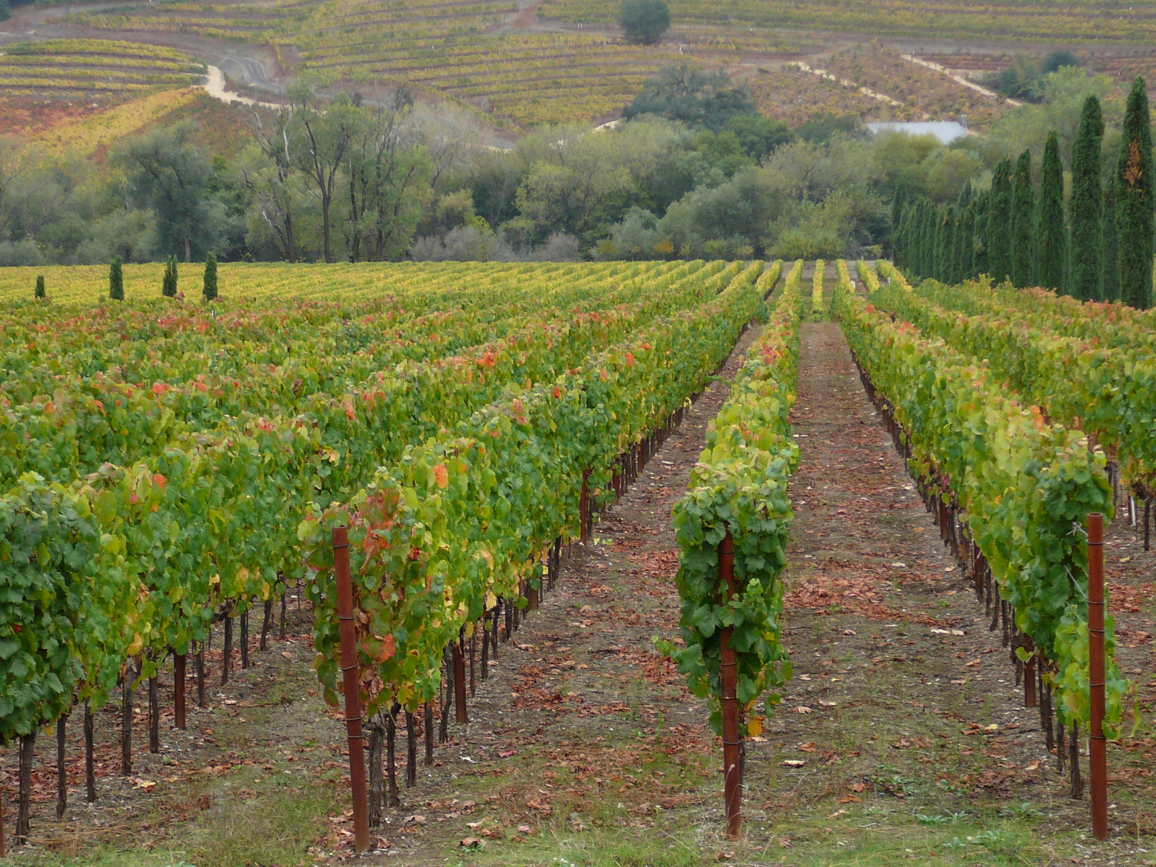 Healdsburg, California